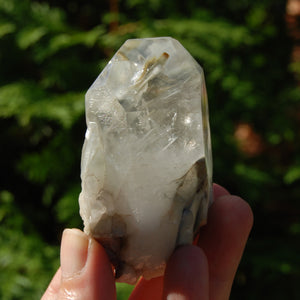 Blue Amphibole Quartz Crystal