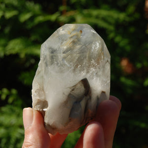 Blue Amphibole Quartz Crystal