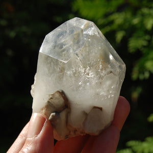 Blue Amphibole Quartz Crystal