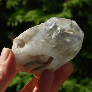 Blue Amphibole Quartz Crystal