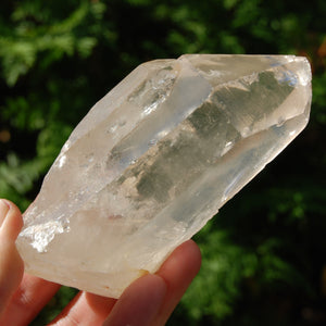 Lightning Strike Golden Healer Lemurian Seed Crystal