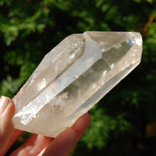 Load image into Gallery viewer, Lightning Strike Golden Healer Lemurian Seed Crystal
