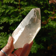 Load image into Gallery viewer, Lightning Strike Golden Healer Lemurian Seed Crystal
