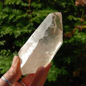 Lightning Strike Golden Healer Lemurian Seed Crystal