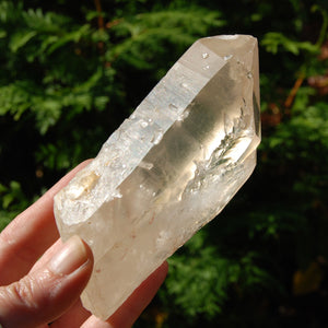 Lightning Strike Golden Healer Lemurian Seed Crystal