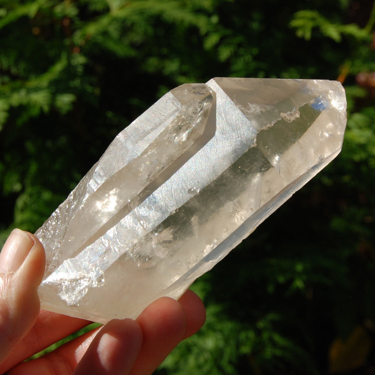 Lightning Strike Golden Healer Lemurian Seed Crystal