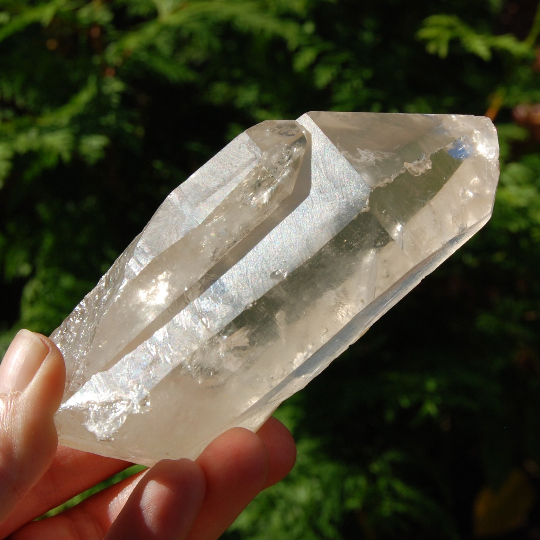 Lightning Strike Golden Healer Lemurian Seed Crystal