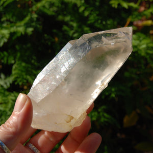 Lightning Strike Golden Healer Lemurian Seed Crystal