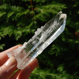 Colombian Tantric Twin Inset Channeler Lemurian Crystal Tabby, Record Keeper Optical Quartz, Santander 