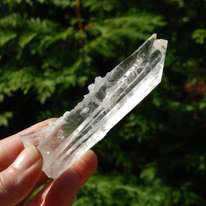 Colombian Tantric Twin Inset Channeler Lemurian Crystal Tabby, Record Keeper Optical Quartz, Santander 