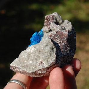 Cavansite Crystal Cluster