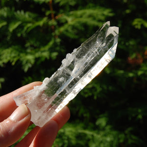 Colombian Tantric Twin Inset Channeler Lemurian Crystal Tabby, Record Keeper Optical Quartz, Santander 