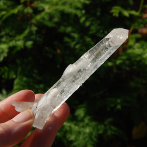 Colombian Tantric Twin Inset Channeler Lemurian Crystal Tabby, Record Keeper Optical Quartz, Santander 