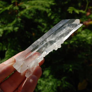 Colombian Tantric Twin Inset Channeler Lemurian Crystal Tabby, Record Keeper Optical Quartz, Santander 