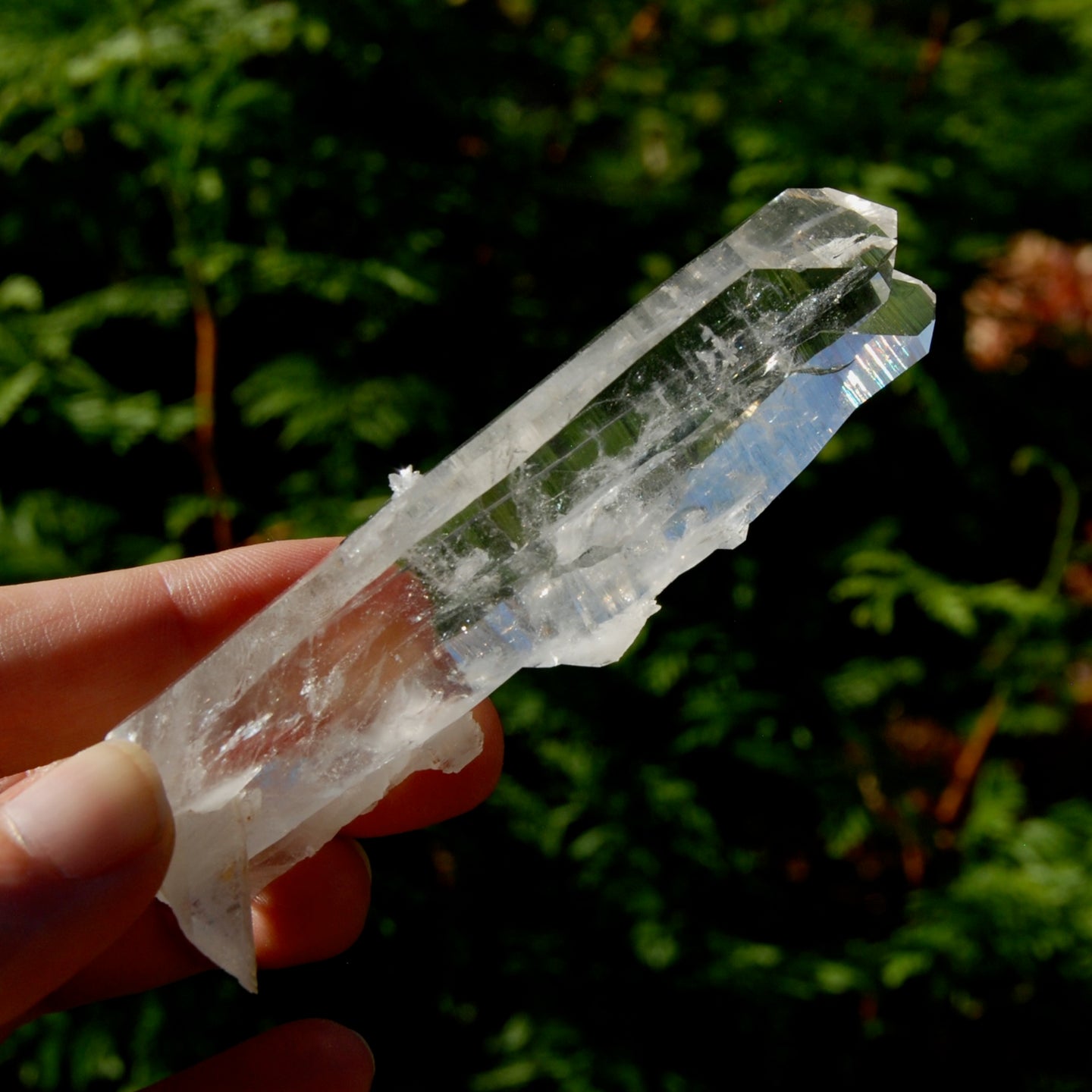 Colombian Tantric Twin Inset Channeler Lemurian Crystal Tabby, Record Keeper Optical Quartz, Santander 