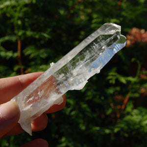 Colombian Tantric Twin Inset Channeler Lemurian Crystal Tabby, Record Keeper Optical Quartz, Santander 