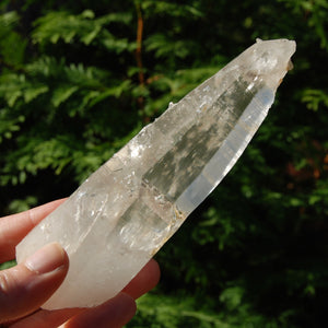 Colombian Lemurian Seed Crystal, Self Healed Tabby Laser, Limonite Optical Quartz