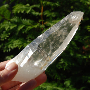 Colombian Lemurian Seed Crystal, Self Healed Tabby Laser, Limonite Optical Quartz