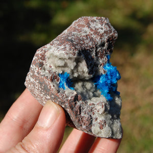 Cavansite Crystal Cluster