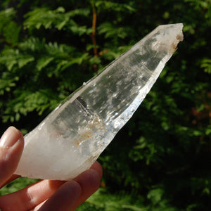 Colombian Lemurian Seed Crystal, Self Healed Tabby Laser, Limonite Optical Quartz