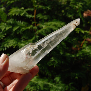 Colombian Lemurian Seed Crystal, Self Healed Tabby Laser, Limonite Optical Quartz