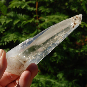 Colombian Lemurian Seed Crystal, Self Healed Tabby Laser, Limonite Optical Quartz