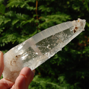 Colombian Lemurian Seed Crystal, Self Healed Tabby Laser, Limonite Optical Quartz