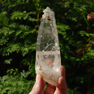 Colombian Lemurian Seed Crystal, Self Healed Tabby Laser, Limonite Optical Quartz