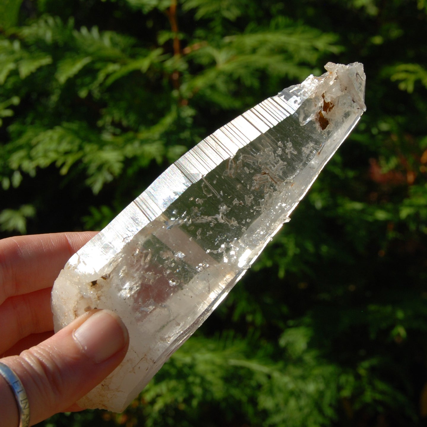 Colombian Lemurian Seed Crystal, Self Healed Tabby Laser, Limonite Optical Quartz