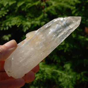 Colombian Lemurian Seed Crystal Starbrary Laser, Optical Rainbow Filled Devic Temple, Boyaca