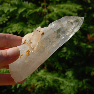 Colombian Lemurian Seed Crystal Starbrary Laser, Optical Rainbow Filled Devic Temple, Boyaca