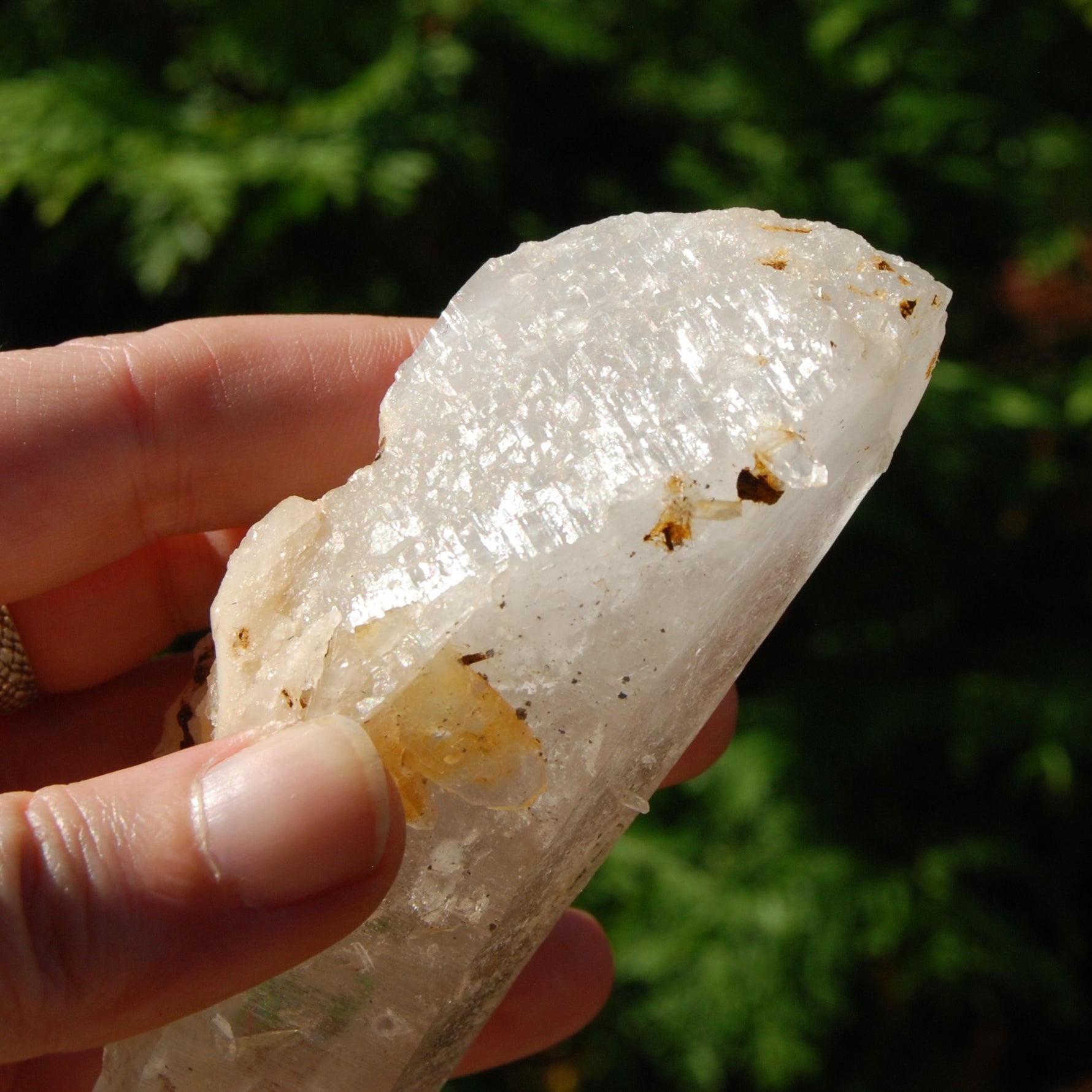 Colombian Lemurian Seed Crystal Starbrary Laser, Optical Rainbow Filled Devic Temple, Boyaca
