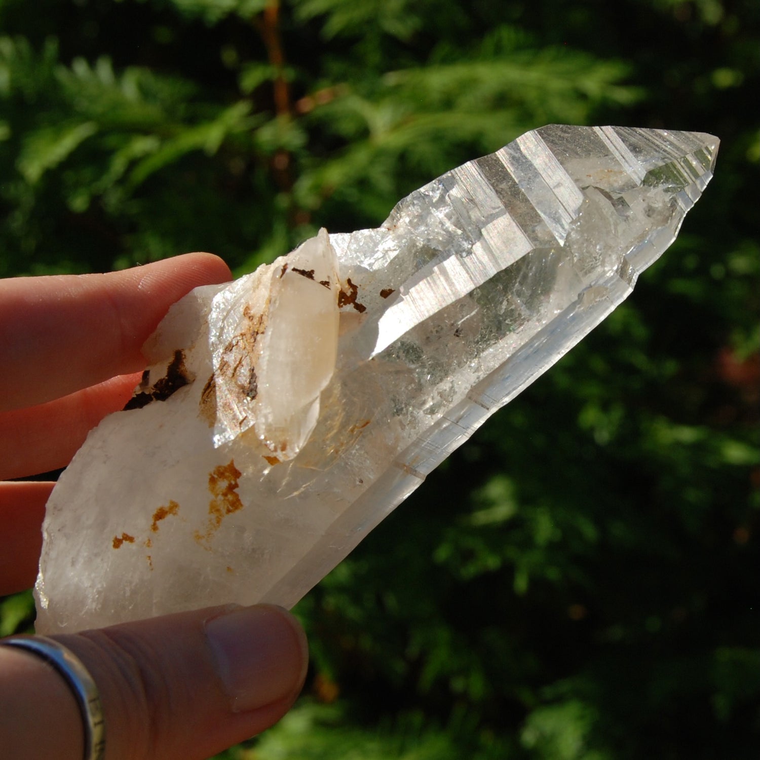 Colombian Lemurian Seed Crystal Starbrary Laser, Optical Rainbow Filled Devic Temple, Boyaca