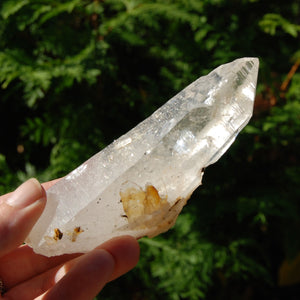 Colombian Lemurian Seed Crystal Starbrary Laser, Optical Rainbow Filled Devic Temple, Boyaca