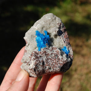 Cavansite Crystal Cluster