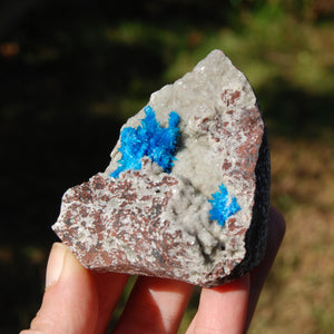 Cavansite Crystal Cluster