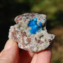 Load image into Gallery viewer, Cavansite Crystal Cluster
