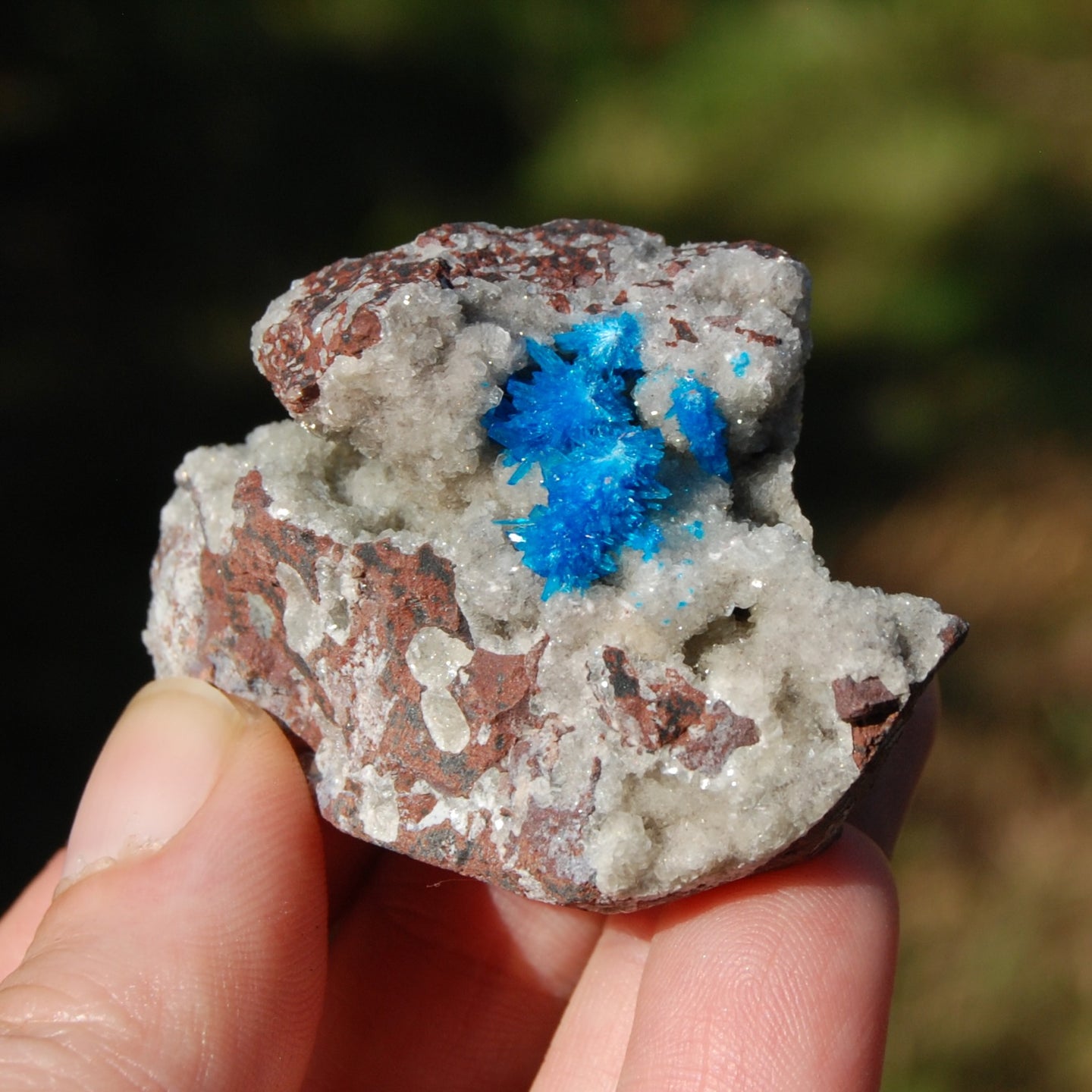 Cavansite Crystal Cluster