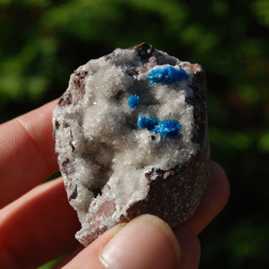 Cavansite Crystal Cluster