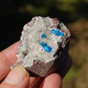 Cavansite Crystal Cluster