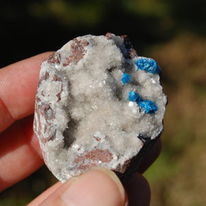 Cavansite Crystal Cluster