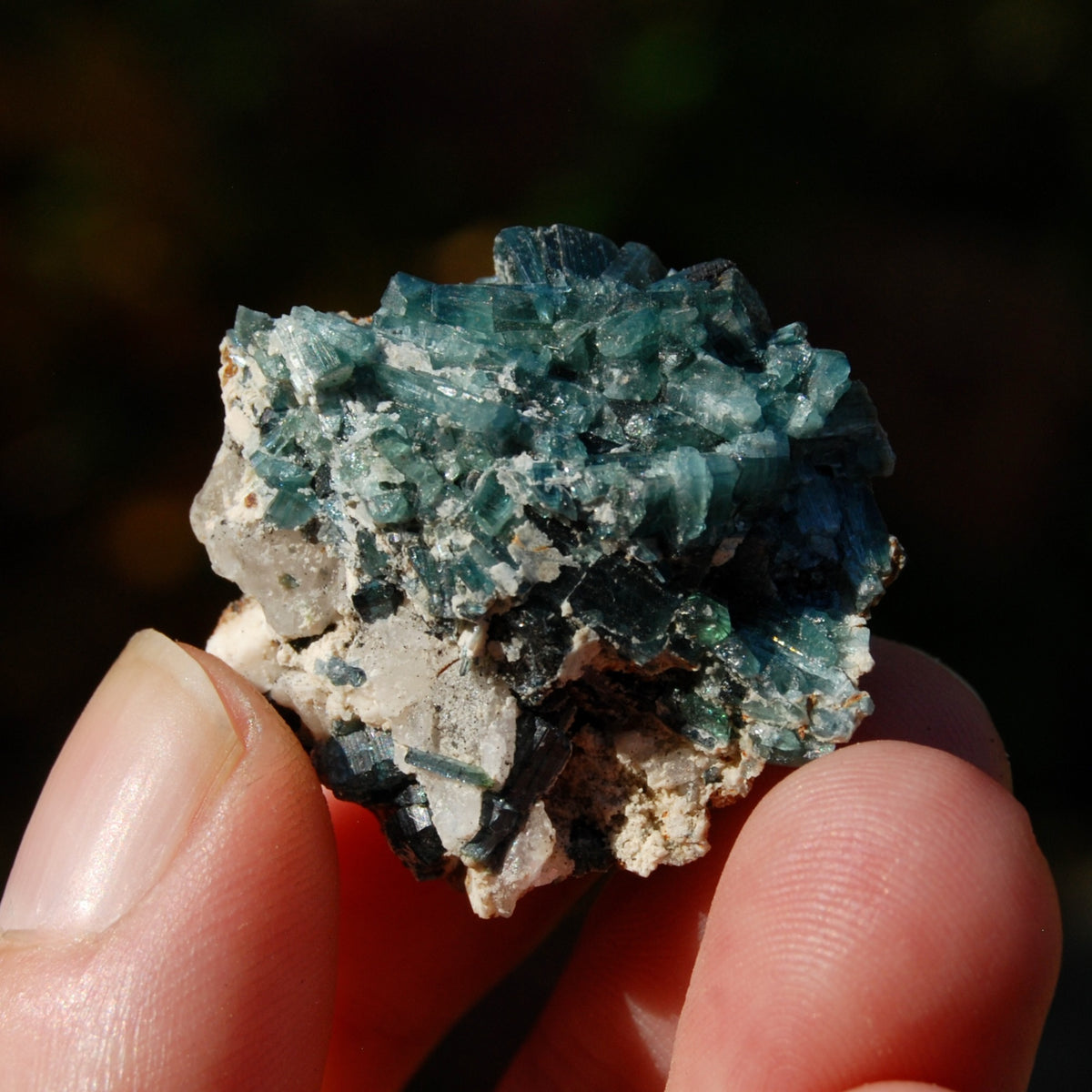 Blue Tourmaline Indicolite Crystal Matrix