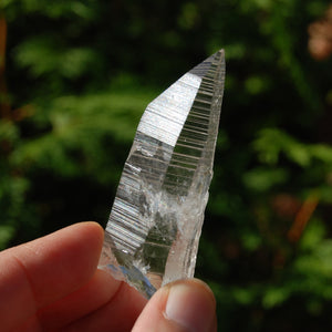 Lemurian Seed Quartz Crystal Laser, Peñas Blancas, Colombia