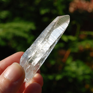 Lemurian Seed Quartz Crystal Laser, Peñas Blancas, Colombia