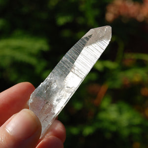 Lemurian Seed Quartz Crystal Laser, Peñas Blancas, Colombia