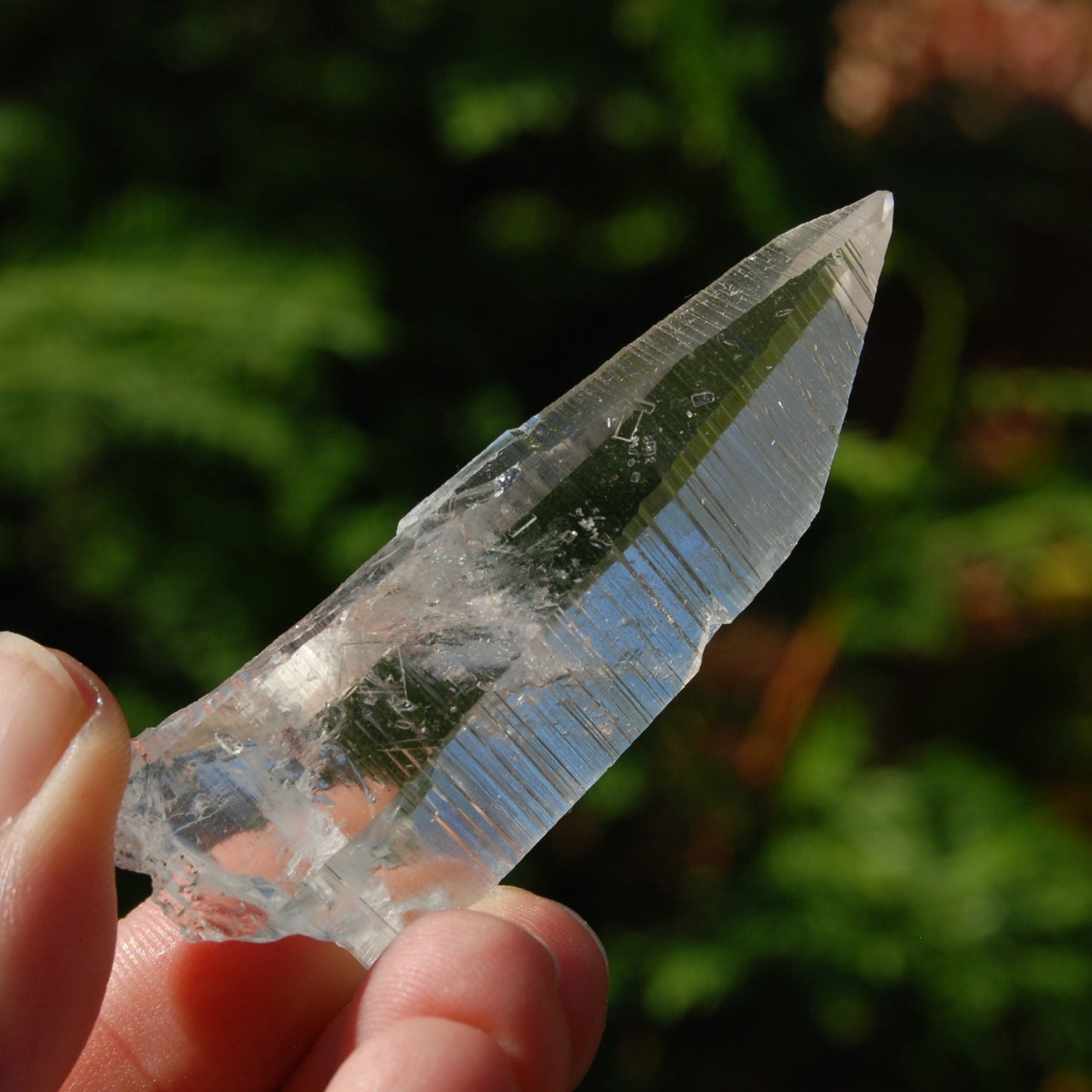 Lemurian Seed Quartz Crystal Laser, Peñas Blancas, Colombia