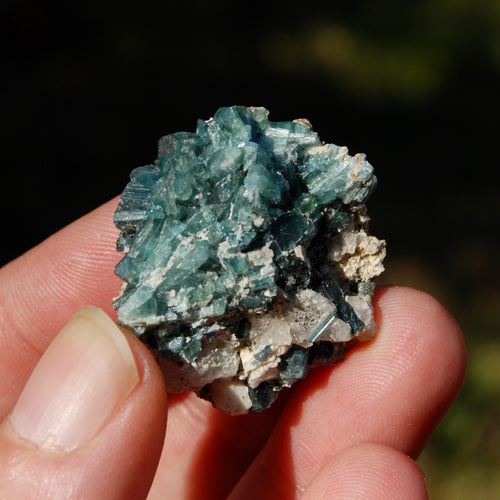 Blue Tourmaline Indicolite Crystal Matrix