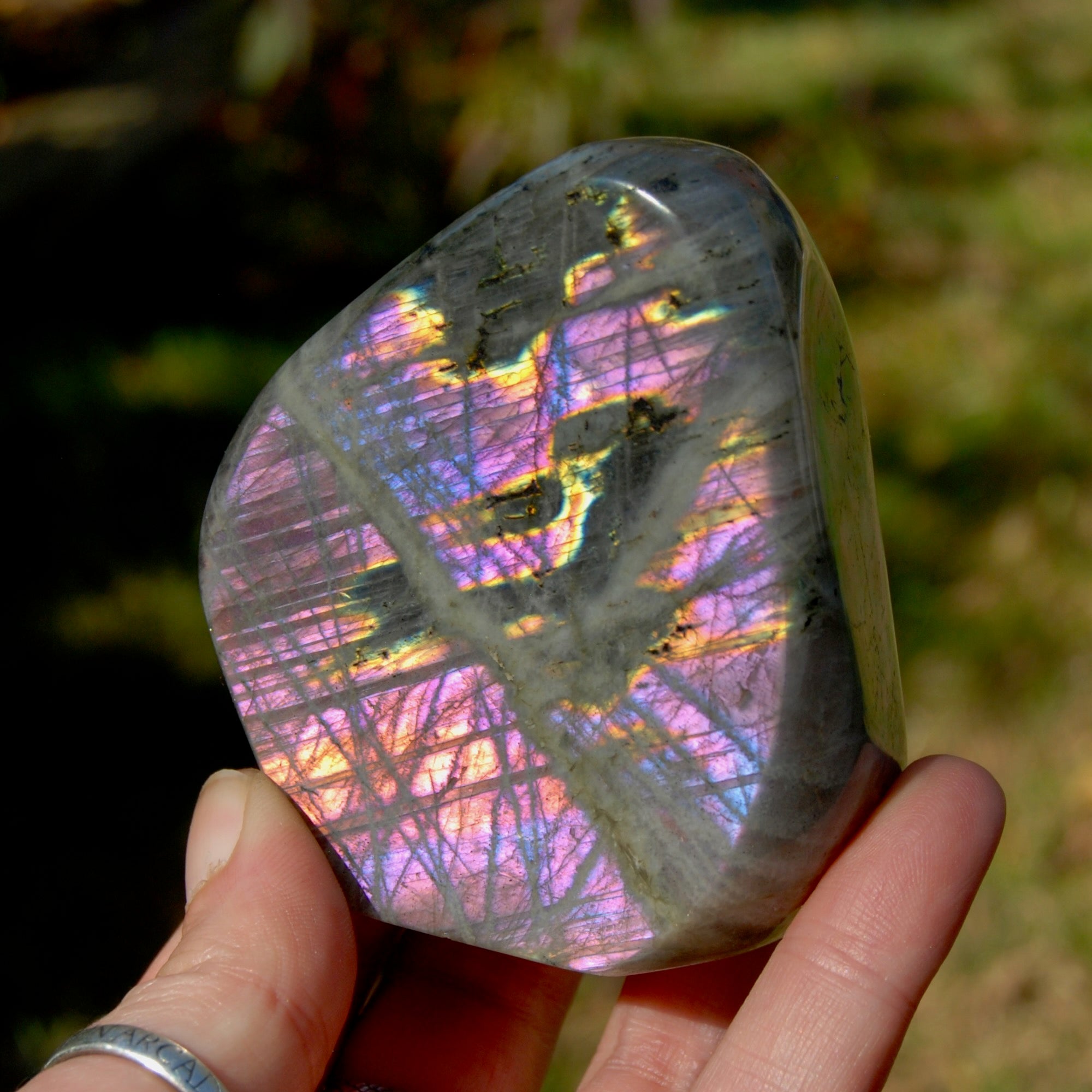 Pink/purple sale labradorite freeform