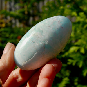 Caribbean Blue Calcite Crystal Palm Stone