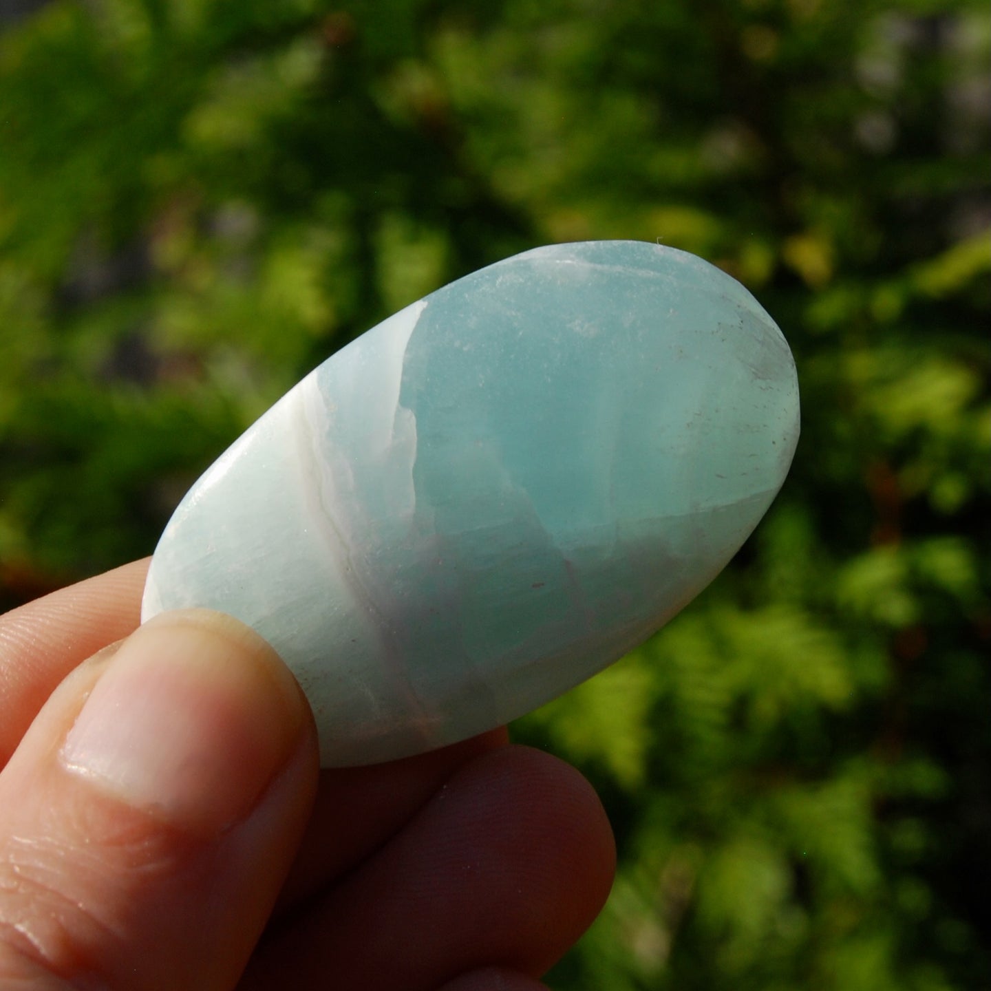 Caribbean Blue Calcite Crystal Palm Stone